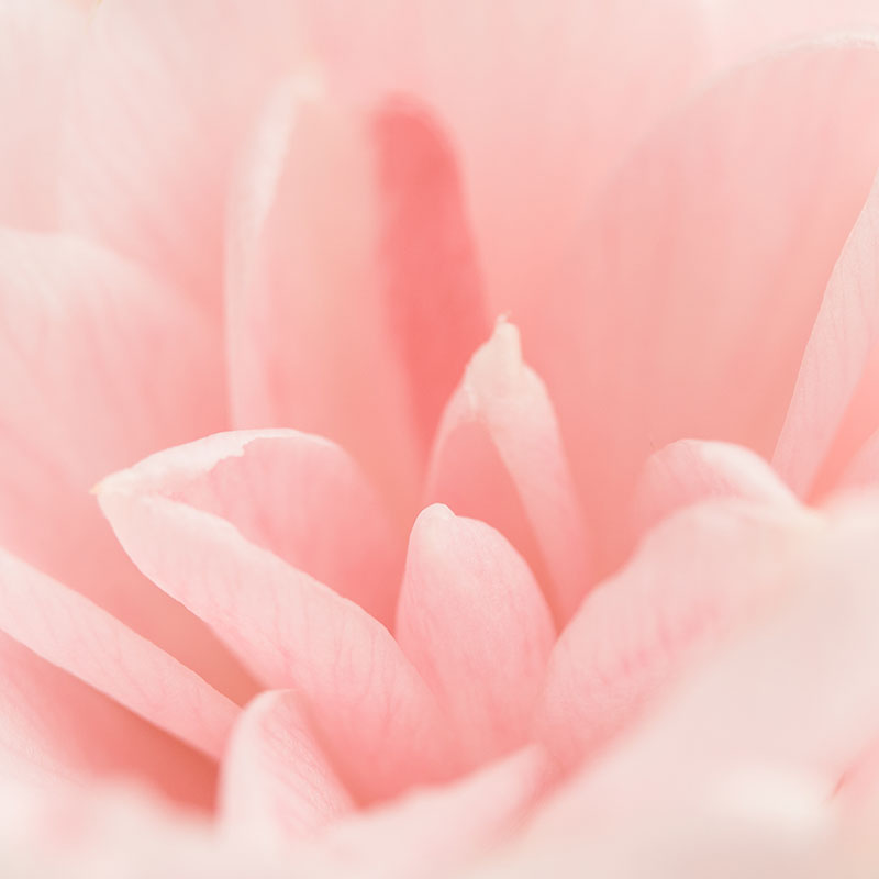 Vaginal Dryness Compounds